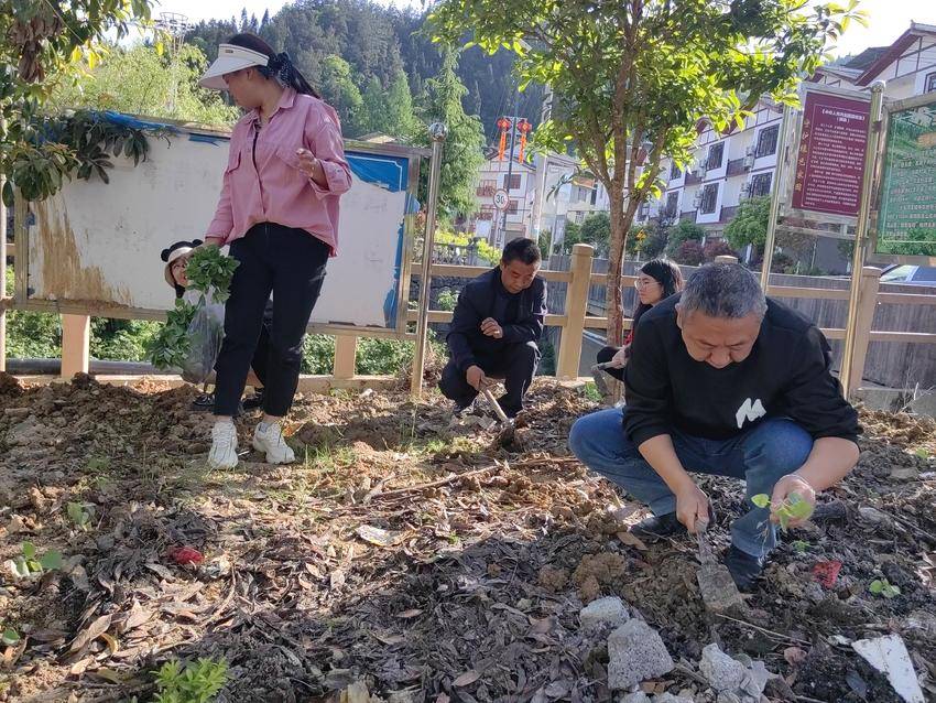 必赢线路检测中心驻村工作队挥锹夯土培植花苗