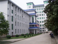 School of Information Engineering